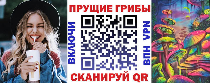 где купить наркоту  Котельники  Псилоцибиновые грибы мицелий 