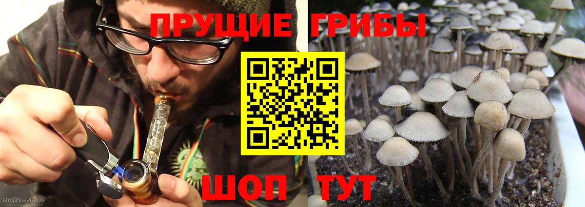 Псилоцибиновые грибы Cubensis  Вход с VPN  Котельники 