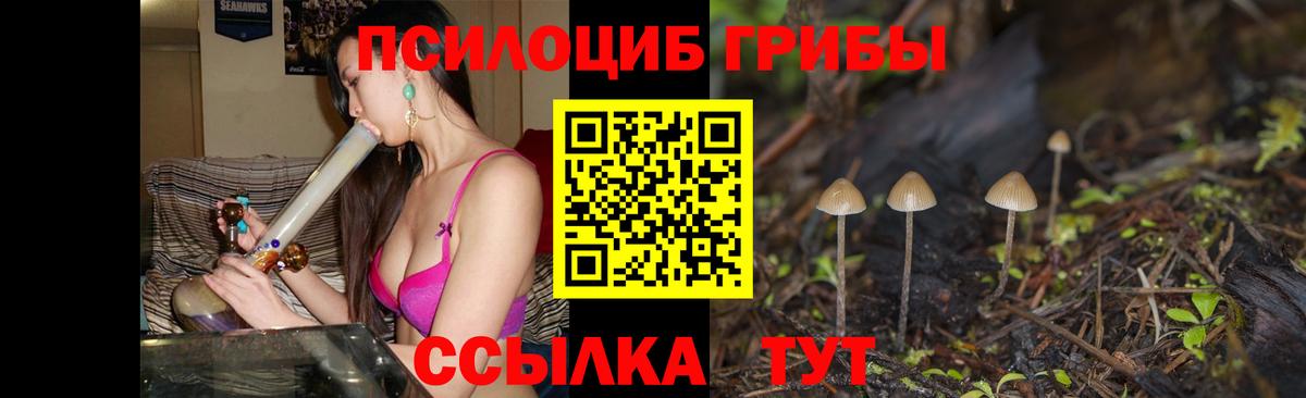 Галлюциногенные грибы Magic Shrooms Котельники